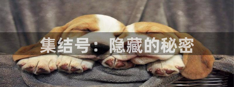 百达娱乐
