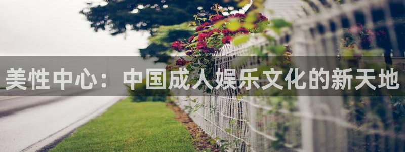 百达娱乐