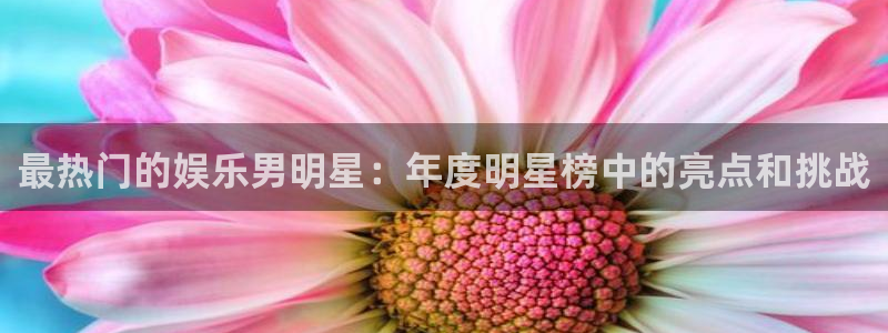 百达娱乐