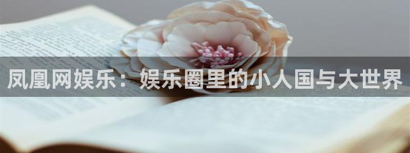 百达娱乐