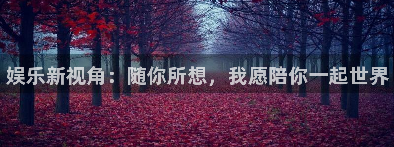 百达娱乐