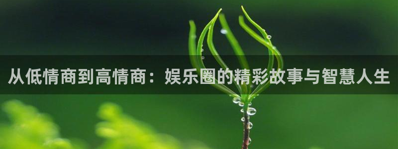 百达娱乐