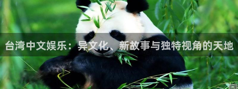 百达娱乐