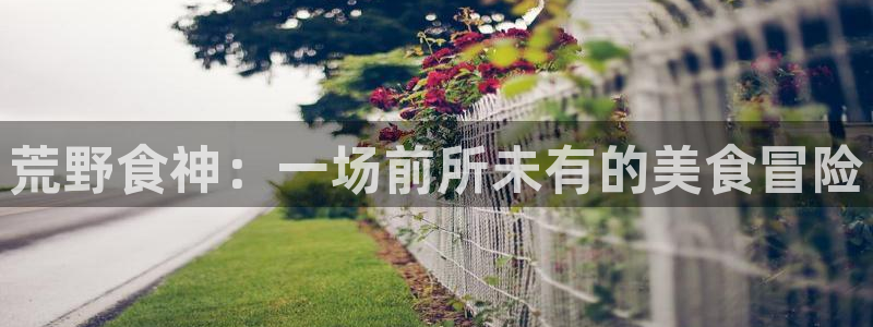 百达娱乐