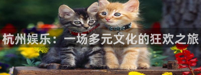 百达娱乐