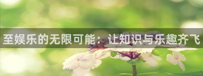 百达娱乐