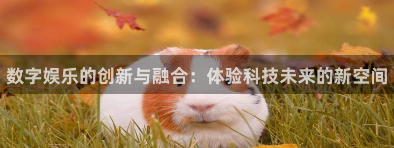 百达娱乐